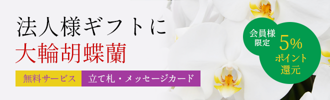 フローリストらんらん 福岡花屋 開業祝い 開設祝い 開店祝いのお祝い花として胡蝶蘭 スタンド花を販売 全国送料無料で配達